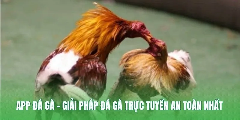 Quản lý vốn cược hiệu quả giúp bảo toàn tài chính khi chơi lâu dài