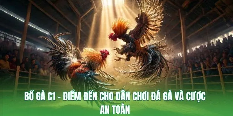 bồ gà c1
