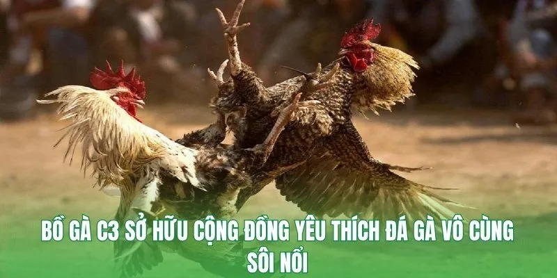 Bồ gà C3 sở hữu cộng đồng yêu thích đá gà vô cùng sôi nổi