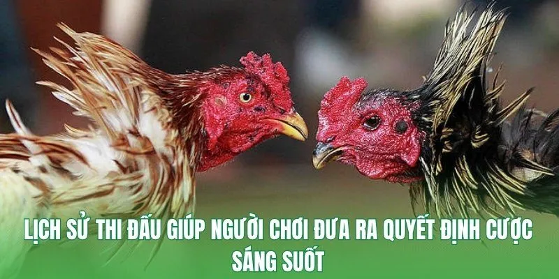 Lịch sử thi đấu giúp người chơi đưa ra quyết định cược sáng suốt