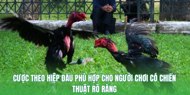 Cược theo hiệp đấu phù hợp cho người chơi có chiến thuật rõ ràng