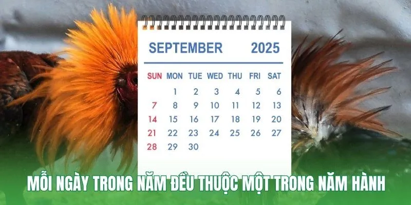 Mỗi ngày trong năm đều thuộc một trong năm hành