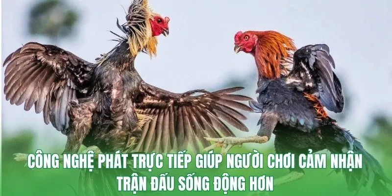 Công nghệ phát trực tiếp giúp người chơi cảm nhận trận đấu sống động hơn