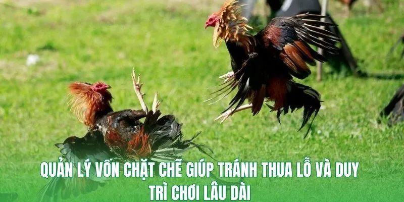 Quản lý vốn chặt chẽ giúp tránh thua lỗ và duy trì chơi lâu dài