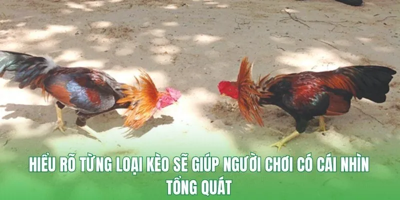 Hiểu rõ từng loại kèo sẽ giúp người chơi có cái nhìn tổng quát