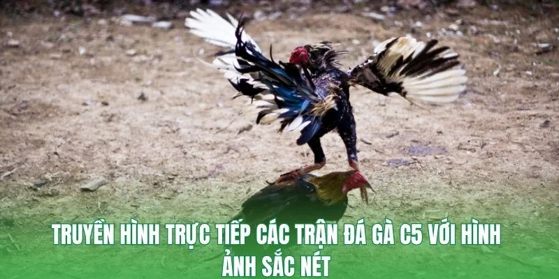 Kèo chấp truyền thống là loại kèo phổ biến nhất trong cá cược