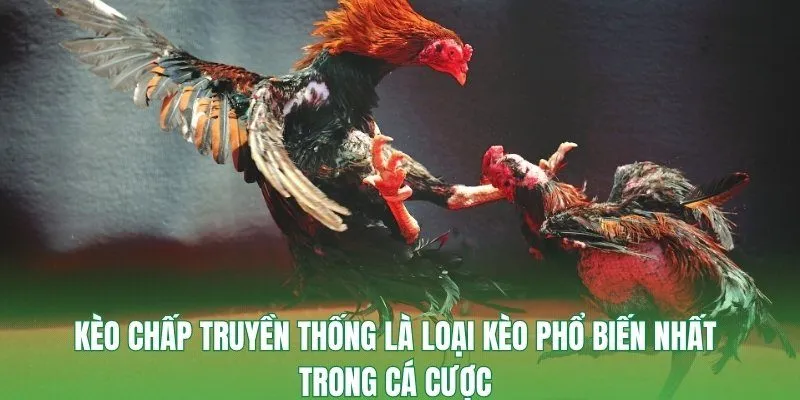 Đặt cược theo cảm tính thường khiến người chơi mất đi sự khách quan