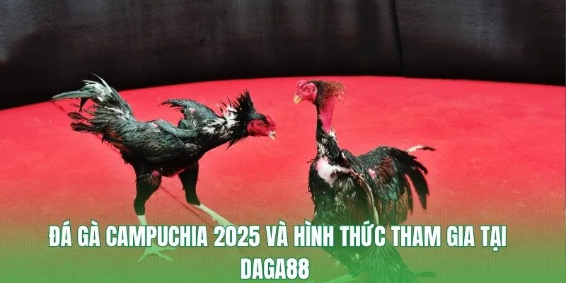 đá gà Campuchia