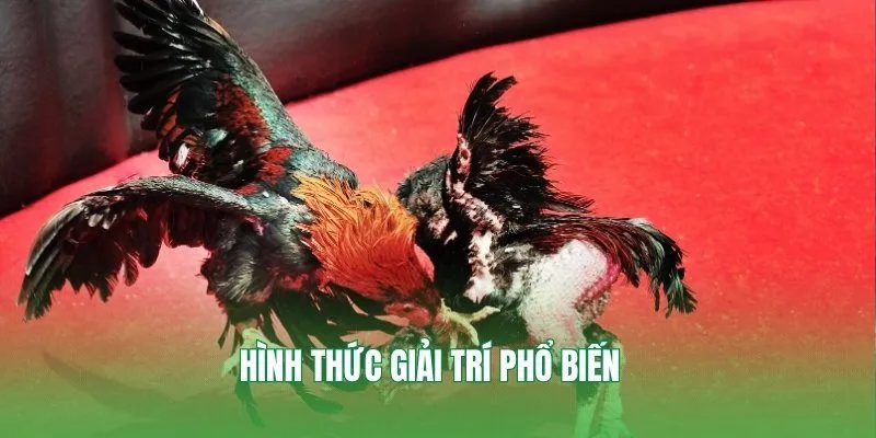Hình thức giải trí phổ biến