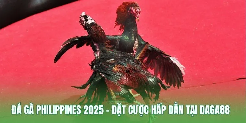 Đá Gà Philippines