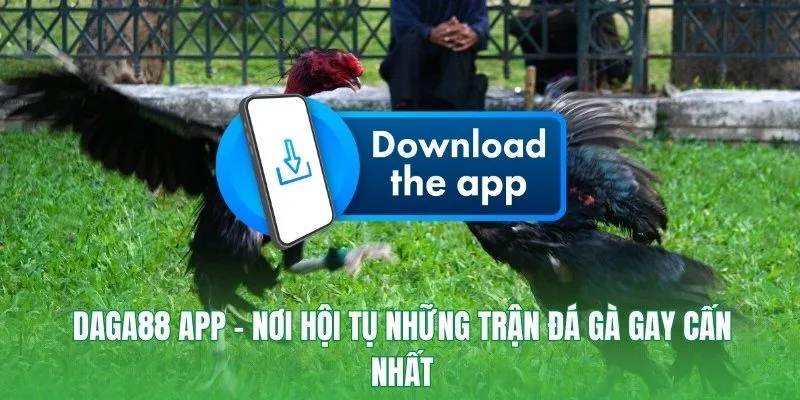 Daga88 App