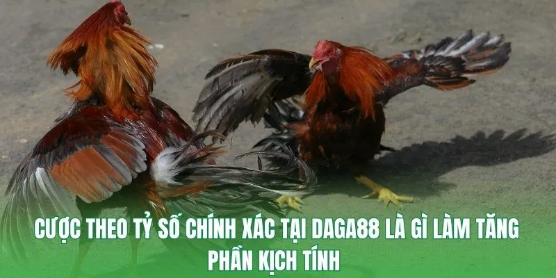 Cược theo tỷ số chính xác tại DAGA88 là gì làm tăng phần kịch tính 