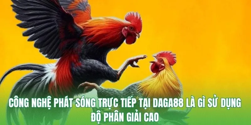 Công nghệ phát sóng trực tiếp tại DAGA88 là gì sử dụng độ phân giải cao