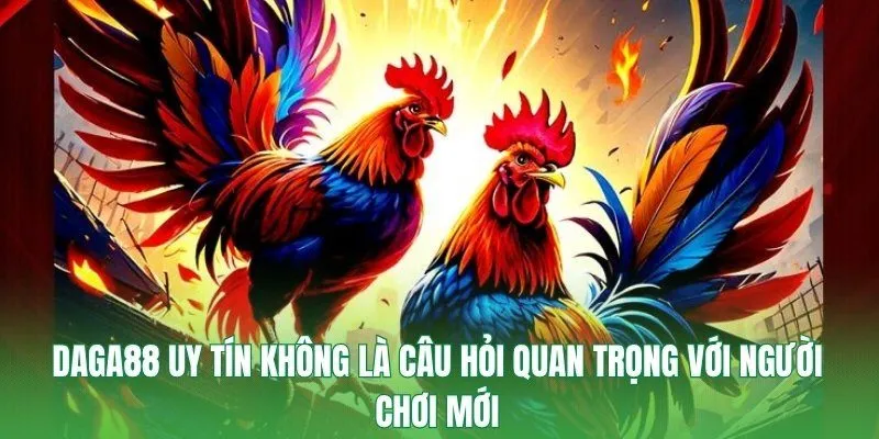 DAGA88 uy tín không là câu hỏi quan trọng với người chơi mới