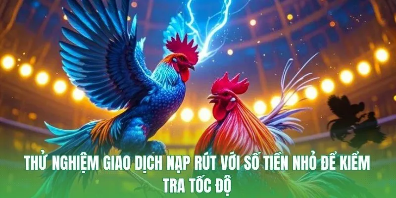 Thử nghiệm giao dịch nạp rút với số tiền nhỏ để kiểm tra tốc độ