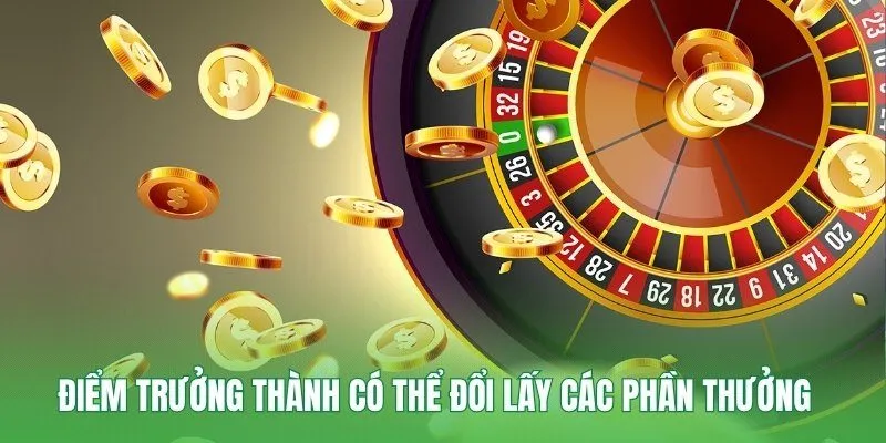 Điểm trưởng thành có thể đổi lấy các phần thưởng