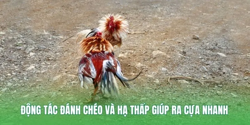 Động tác đánh chéo và hạ thấp giúp ra cựa nhanh