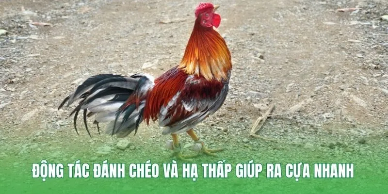 Động tác đánh chéo và hạ thấp giúp ra cựa nhanh
