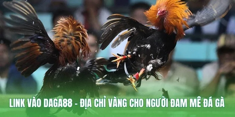 Link Vào DAGA88