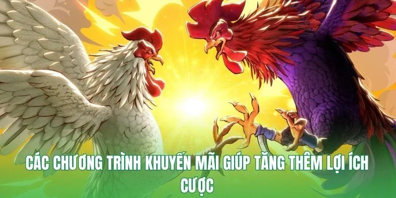 Các chương trình khuyến mãi giúp tăng thêm lợi ích cược