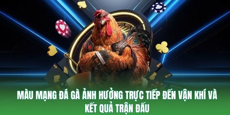 Màu mạng đá gà ảnh hưởng trực tiếp đến vận khí và kết quả trận đấu