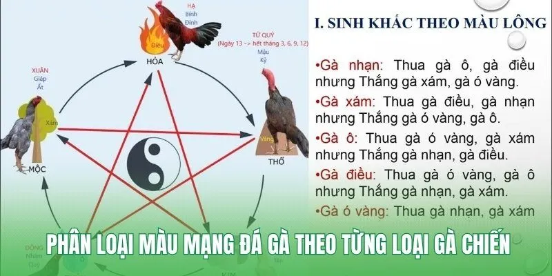 Phân loại màu mạng đá gà theo từng loại gà chiến 
