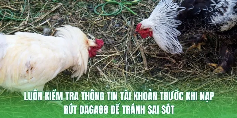 Luôn kiểm tra thông tin tài khoản trước khi nạp rút DAGA88 để tránh sai sót
