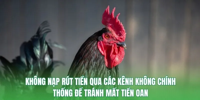 Không nạp rút tiền qua các kênh không chính thống để tránh mất tiền oan