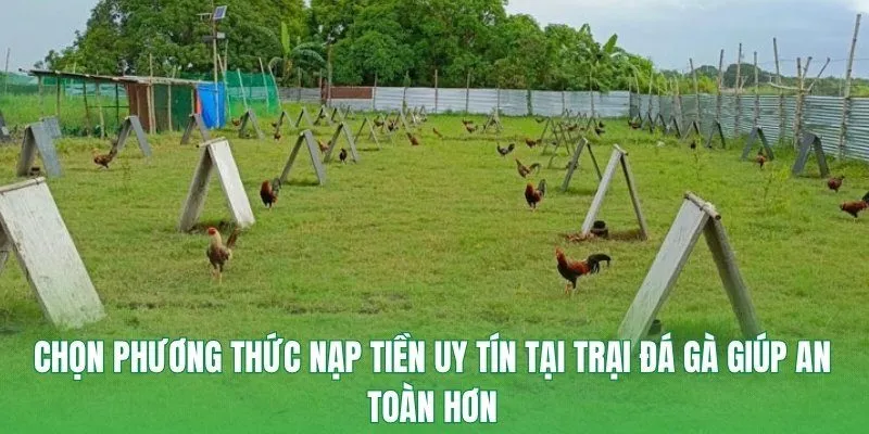Chọn phương thức nạp tiền uy tín tại trại đá gà giúp an toàn hơn