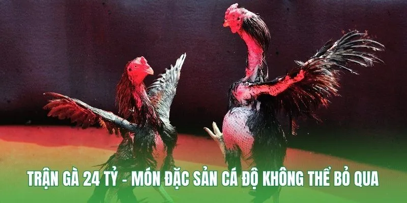 Trận Gà 24 Tỷ