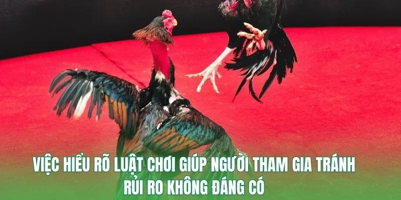 Việc hiểu rõ luật chơi giúp người tham gia tránh rủi ro không đáng có