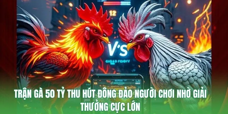 Trận gà 50 tỷ thu hút đông đảo người chơi nhờ giải thưởng cực lớn