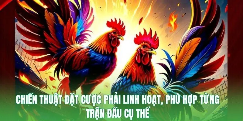 Chiến thuật đặt cược phải linh hoạt, phù hợp từng trận đấu cụ thể