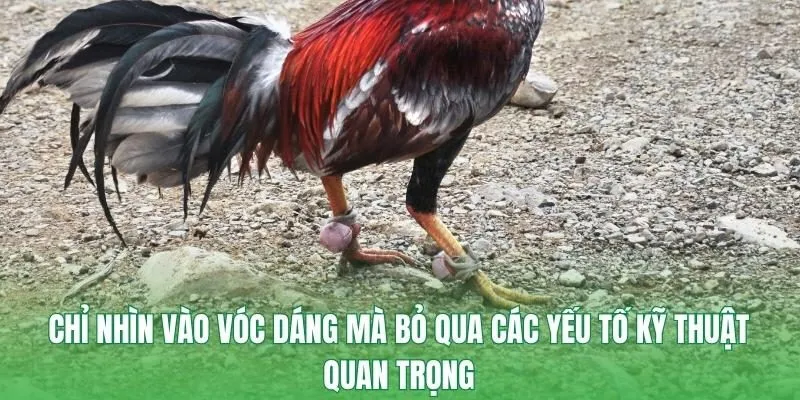 Chỉ nhìn vào vóc dáng mà bỏ qua các yếu tố kỹ thuật quan trọng