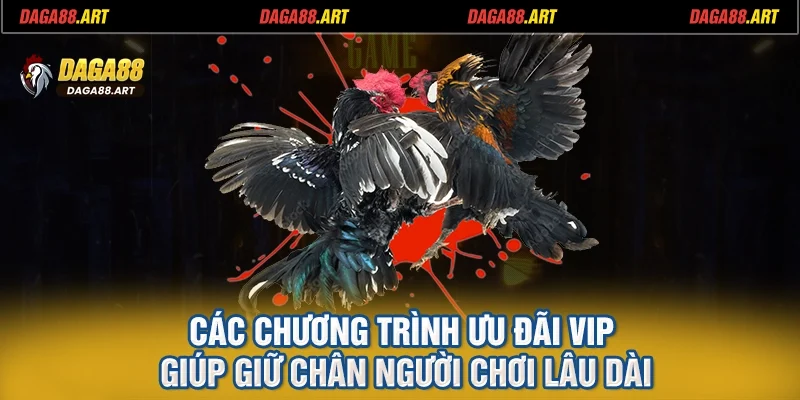 Các chương trình ưu đãi VIP giúp giữ chân người chơi lâu dài