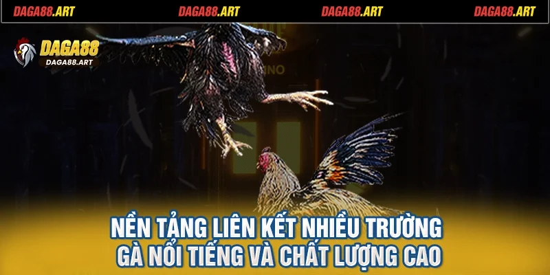 Nền tảng liên kết nhiều trường gà nổi tiếng và chất lượng cao