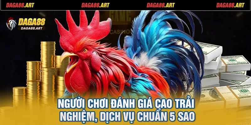 Người chơi đánh giá cao trải nghiệm, dịch vụ chuẩn 5 sao