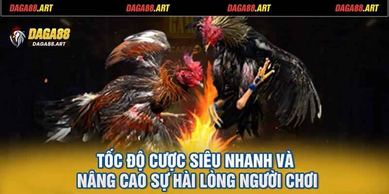 Tốc độ cược siêu nhanh và nâng cao sự hài lòng người chơi